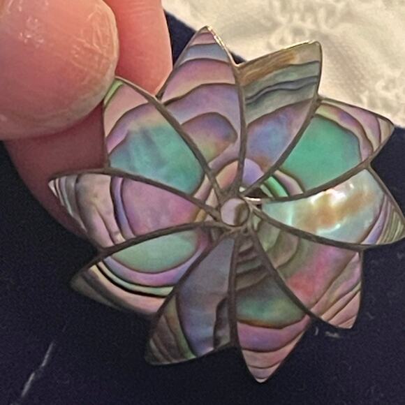 Abalone and Alpaca silver screwback vintage earrings - Picture 4 of 12